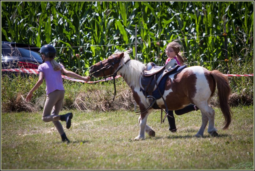 Mounted Games 242